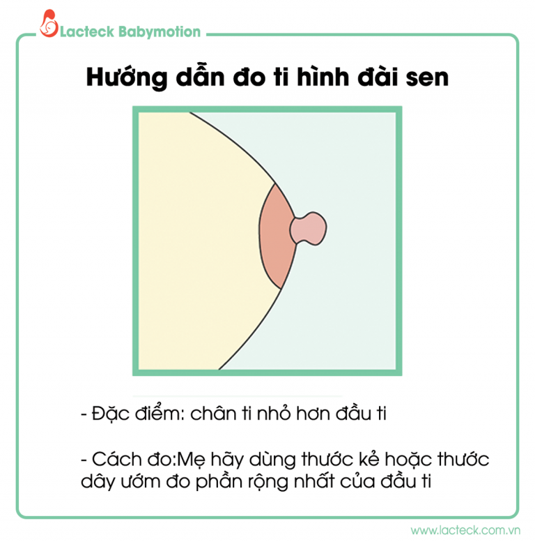 Đo ti hình đài sen như thế nào?