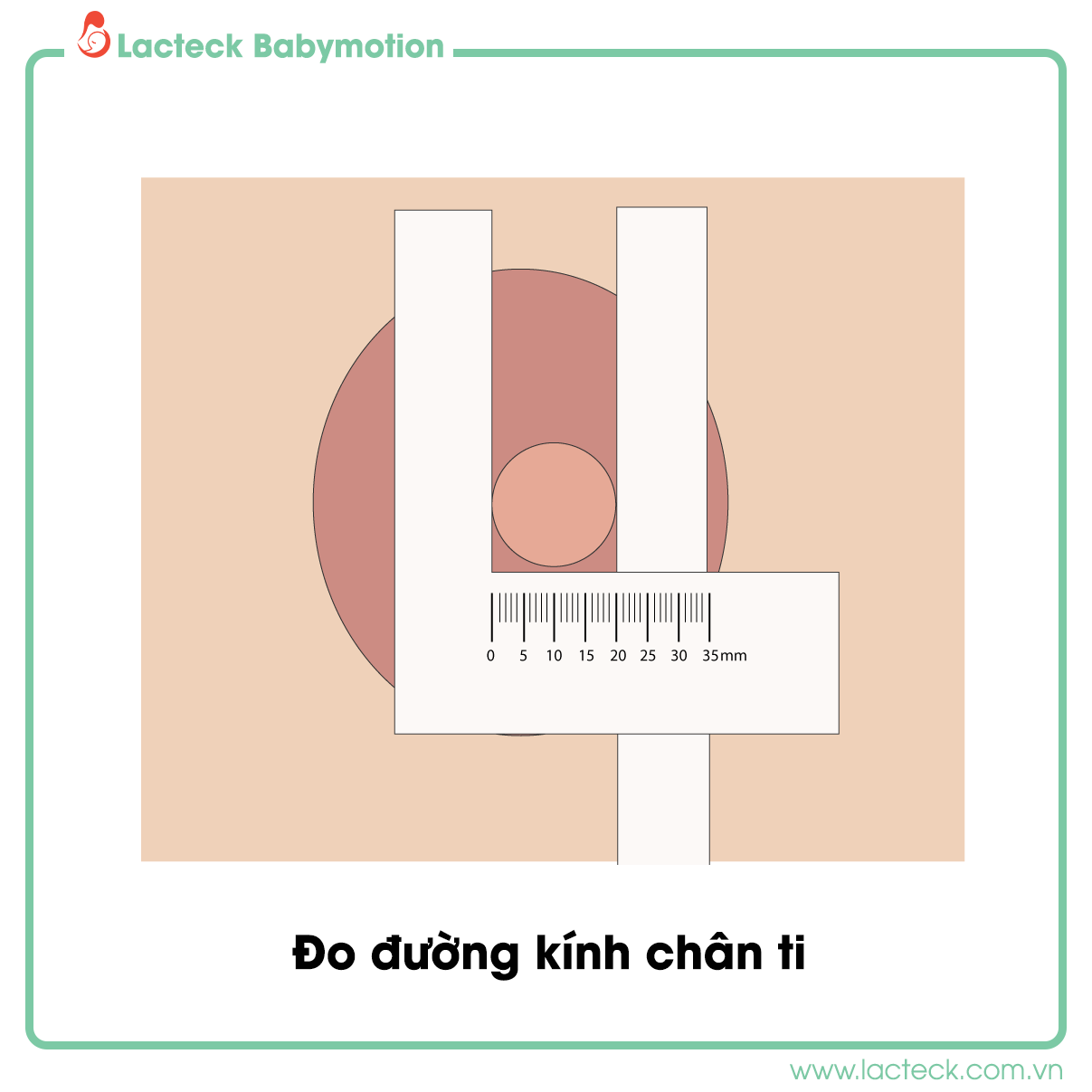 Cách đo đường kính chân ti