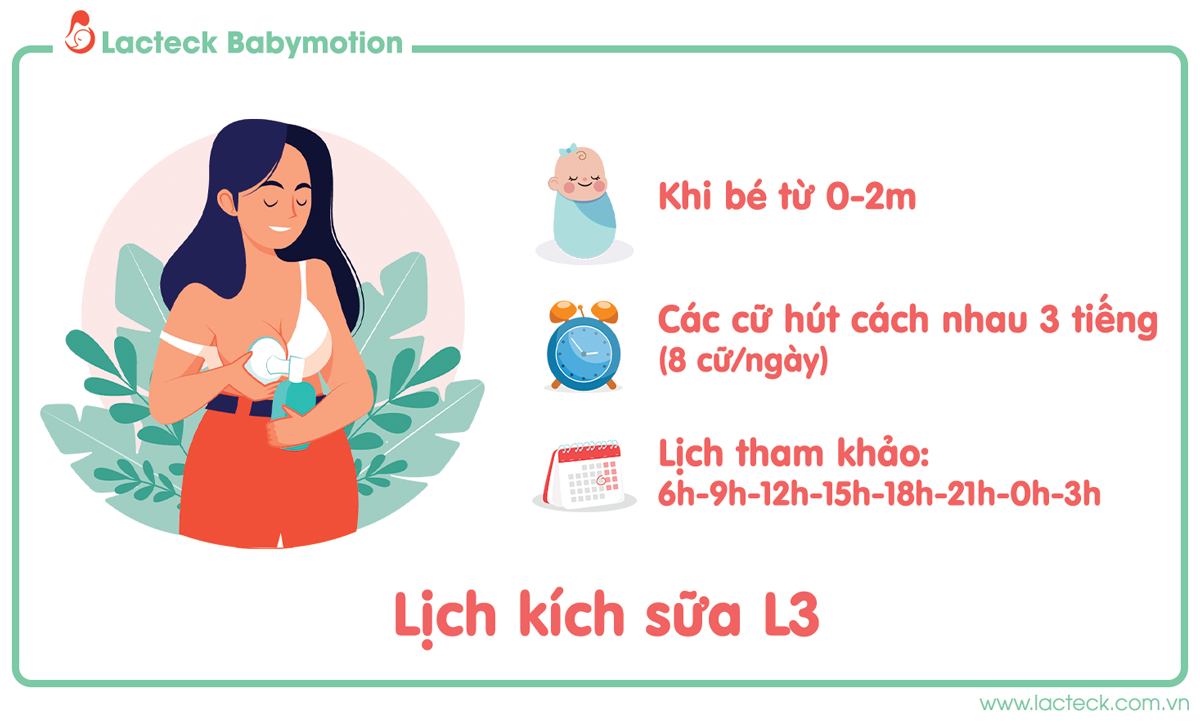 Lịch kích sữa theo khoa học – L3