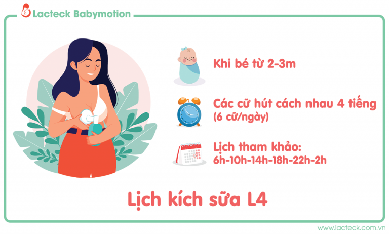 Lịch kích sữa theo khoa học – L4