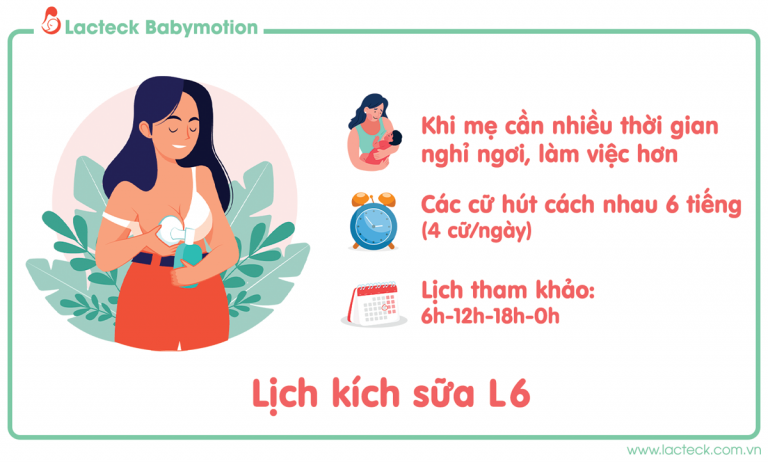 Lịch kích sữa theo khoa học – L6